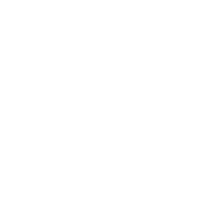 Information & Asset Details